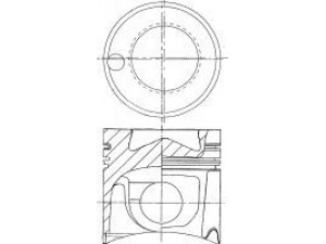 NÜRAL 87-179300-06 stūmoklis