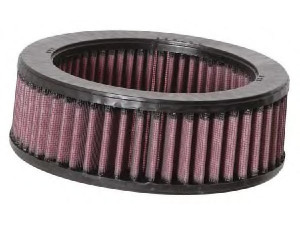 K&N Filters E-2490 oro filtras