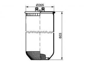 PE Automotive 084.118-41A dėklas, pneumatinė pakaba
5001 832 067