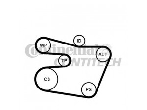 CONTITECH 6PK1538K1 V formos rumbuotas diržas, komplektas 
 Techninės priežiūros dalys -> Techninės priežiūros intervalai