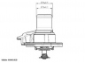 termostatas, aušinimo skystis