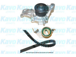 KAVO PARTS DKW-5507 vandens siurblio ir paskirstymo diržo komplektas