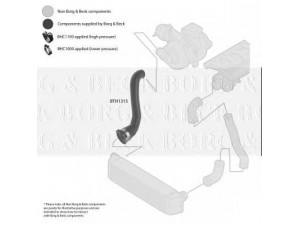 BORG & BECK BTH1315 kompresoriaus padavimo žarna 
 Išmetimo sistema -> Turbokompresorius
PNH000163