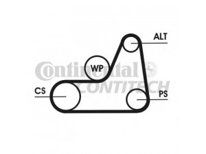 CONTITECH 6PK1042 ELAST T3 V formos rumbuotas diržas, komplektas 
 Techninės priežiūros dalys -> Techninės priežiūros intervalai
1323718, 1S4E6C301AC, 1S4E6D314BA