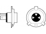 VALEO 032511 lemputė, prožektorius; lemputė, priekinis žibintas; lemputė, rūko žibintas; lemputė, priekinis žibintas; lemputė, prožektorius; lemputė, rūko žibintas 
 Elektros įranga -> Pagalbiniai žibintai/dalys -> Prožektorius/dalys -> Lemputė, prožektorius