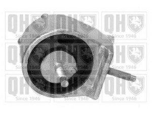 QUINTON HAZELL EM2218 variklio montavimas 
 Variklis -> Variklio montavimas -> Variklio montavimo rėmas
7700769719