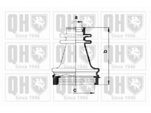 QUINTON HAZELL QJB1004 gofruotoji membrana, kardaninis velenas 
 Ratų pavara -> Gofruotoji membrana
40089-00QAB, 77 00 108 269, 77 01 471 522