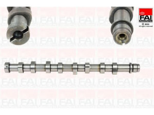 FAI AutoParts C260 skirstomasis velenas 
 Variklis -> Variklio uždegimo laiko reguliavimo kontrolė -> Skirstomasis velenas
0801.CY, 1146057, 1386533, 256Q-6250-AD