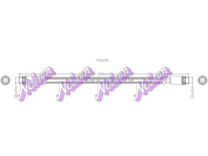 Brovex-Nelson H3605 stabdžių žarnelė 
 Stabdžių sistema -> Stabdžių žarnelės
7704003765, 7704003905, 8200020558