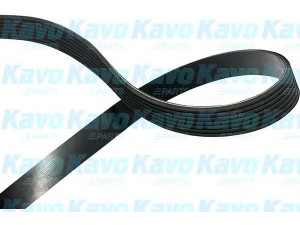 KAVO PARTS DMV-9100 V formos rumbuoti diržai 
 Techninės priežiūros dalys -> Techninės priežiūros intervalai
1172000QAW, 6340624, 9091602493