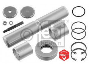 FEBI BILSTEIN 04320 remonto komplektas, pasukamojo kakliuko kaištis 
 Ašies montavimas/vairavimo mechanizmas/ratai -> Pasukamojo kakliuko remonto rinkinys -> Remonto komplektas, karbiuratorius
360 330 06 19, 360 586 00 33, 360 330 06 19