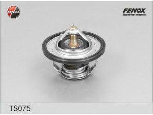 FENOX TS075 termostatas, aušinimo skystis 
 Aušinimo sistema -> Termostatas/tarpiklis -> Thermostat
21200-ED000, 21200-ED00A, 25500-2B000