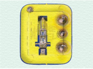 MAGNETI MARELLI 009491100000 asortimentas, lemputės