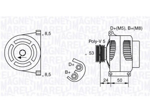 MAGNETI MARELLI 063377008010 kintamosios srovės generatorius 
 Elektros įranga -> Kint. sr. generatorius/dalys -> Kintamosios srovės generatorius
46542889, 46843091, 51709133