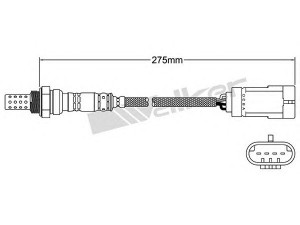 WALKER PRODUCTS 250-24781 lambda jutiklis 
 Variklis -> Variklio elektra
77 00 103 504, 77 00 103 504