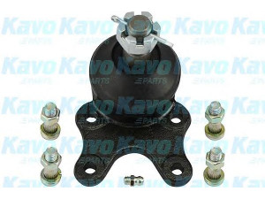 KAVO PARTS SBJ-9015 atramos/vairo trauklė 
 Ašies montavimas/vairavimo mechanizmas/ratai -> Sujungimai -> Atramos/vairo trauklė
4335029045, 4335029055, 4335029056