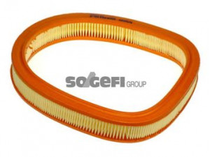 PURFLUX A959 oro filtras 
 Filtrai -> Oro filtras
5027148, 6162294, 89SF9601AA, 7701409295