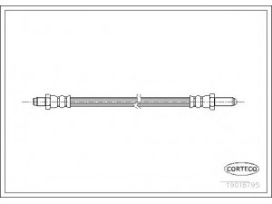 CORTECO 19018795 stabdžių žarnelė 
 Stabdžių sistema -> Stabdžių žarnelės
1205977, 1229100, 1229303