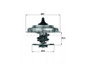 BEHR TX 18 55D termostatas, aušinimo skystis 
 Aušinimo sistema -> Termostatas/tarpiklis -> Thermostat