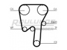 ROULUNDS RUBBER RR1145 paskirstymo diržas 
 Techninės priežiūros dalys -> Papildomas remontas
7439440383, 272329, 274338, 8627484