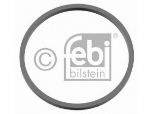 FEBI BILSTEIN 11634 tarpiklis, įsiurbimo kolektorius 
 Variklis -> Cilindrų galvutė/dalys -> Įsiurbimo kolektoriaus tarpiklis/sandarinimo žiedas
469829