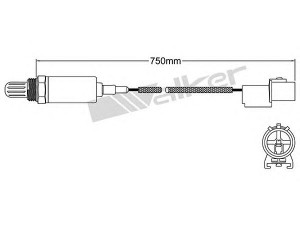 WALKER PRODUCTS 250-21066 lambda jutiklis 
 Variklis -> Variklio elektra
39210 02500