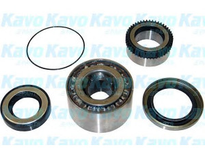 KAVO PARTS WBK-5516 rato guolio komplektas 
 Ašies montavimas/vairavimo mechanizmas/ratai -> Rato stebulė/montavimas -> Rato guolis
MB092440, MB664611, MB664612, MB837719