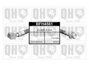 QUINTON HAZELL BFH4561 stabdžių žarnelė 
 Stabdžių sistema -> Stabdžių žarnelės
FBH 6293, 46210-D4002