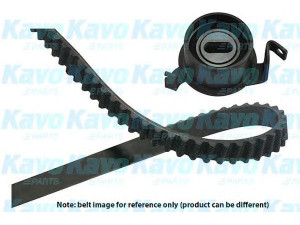 KAVO PARTS DKT-5502 paskirstymo diržo komplektas 
 Techninės priežiūros dalys -> Papildomas remontas