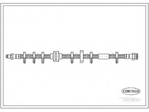 CORTECO 19018557 stabdžių žarnelė
82407500, 82440062, 82422143, 82440062