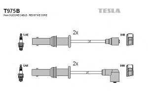 TESLA T975B uždegimo laido komplektas 
 Kibirkšties / kaitinamasis uždegimas -> Uždegimo laidai/jungtys
22451-AA630, 22451-AA640