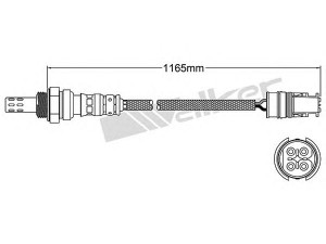 WALKER PRODUCTS 250-24198 lambda jutiklis 
 Išmetimo sistema -> Lambda jutiklis
000 540 95 17