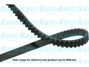 KAVO PARTS DTB-1003 paskirstymo diržas 
 Techninės priežiūros dalys -> Papildomas remontas
90410223, 90531678, 96183353, 96352407