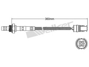 WALKER PRODUCTS 250-24380 lambda jutiklis 
 Variklis -> Variklio elektra
11 78 1 247 475, 11 78 1 704 259