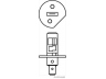 HERTH+BUSS ELPARTS 89901021 lemputė, prožektorius; lemputė, priekinis žibintas; lemputė, rūko žibintas; lemputė; lemputė, prožektorius; lemputė, rūko žibintas; lemputė, besisukantis švyturėlis 
 Kėbulas -> Pagalbiniai žibintai/dalys -> Prožektorius/dalys -> Lemputė, prožektorius