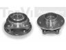 TREVI AUTOMOTIVE WB1022 rato guolio komplektas 
 Ašies montavimas/vairavimo mechanizmas/ratai -> Rato stebulė/montavimas -> Rato guolis
50707556, 71753816