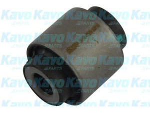 KAVO PARTS SCR-4529 valdymo svirties/išilginių svirčių įvorė 
 Ašies montavimas/vairavimo mechanizmas/ratai -> Valdymo svirtis/pasukamosios svirties sujungimas -> Montavimas/sutvirtinimas
G26A28450