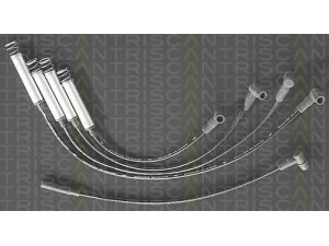 TRISCAN 8860 4126 uždegimo laido komplektas 
 Kibirkšties / kaitinamasis uždegimas -> Uždegimo laidai/jungtys