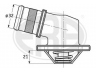 termostatas, aušinimo skystis