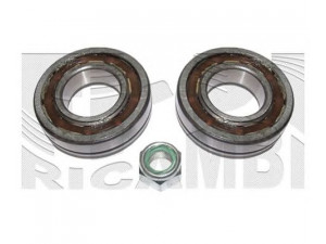 CALIBER RC3015 rato guolio komplektas 
 Ašies montavimas/vairavimo mechanizmas/ratai -> Rato stebulė/montavimas -> Rato guolis
7701460639