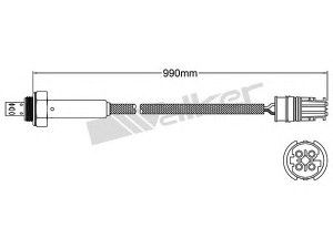 WALKER PRODUCTS 250-24810 lambda jutiklis 
 Išmetimo sistema -> Jutiklis/zondas
11781 427 884