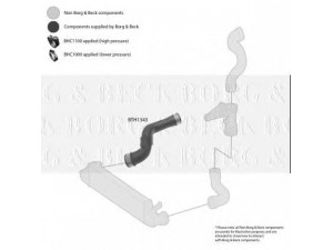 BORG & BECK BTH1343 kompresoriaus padavimo žarna 
 Išmetimo sistema -> Turbokompresorius
2035283482