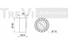 TREVI AUTOMOTIVE TD1189 kreipiantysis skriemulys, paskirstymo diržas 
 Diržinė pavara -> Paskirstymo diržas/komplektas -> Laisvasis/kreipiamasis skriemulys
6635942, 928M6M250BC, F5RZ6M250A