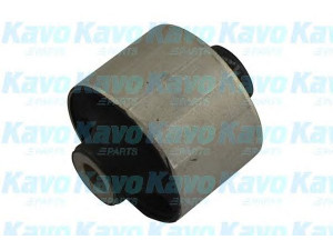 KAVO PARTS SCR-3031 valdymo svirties/išilginių svirčių įvorė 
 Ašies montavimas/vairavimo mechanizmas/ratai -> Valdymo svirtis/pasukamosios svirties sujungimas -> Montavimas/sutvirtinimas
545843M000, 545843M000