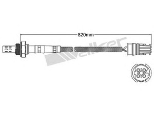 WALKER PRODUCTS 250-24445 lambda jutiklis 
 Išmetimo sistema -> Lambda jutiklis
11 78 1 405 325, 11 78 1 743 994