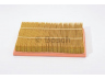 BOSCH 1 457 433 579 oro filtras 
 Filtrai -> Oro filtras
73502069, 9177267, 93172461, 83 50 36