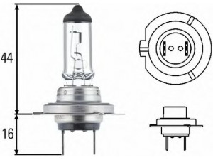 HELLA 8GH 007 157-231 lemputė, prožektorius; lemputė, priekinis žibintas; lemputė, priekinis žibintas 
 Kėbulas -> Priekinis žibintas/dalys -> Lemputė, priekinis žibintas
1510-100-070
