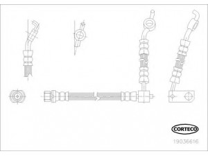CORTECO 19036616 stabdžių žarnelė
9094702C81