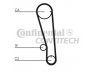 CONTITECH CT665 paskirstymo diržas 
 Techninės priežiūros dalys -> Papildomas remontas
MD030599, MD030600, MD099706, MD113563