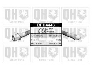 QUINTON HAZELL BFH4443 stabdžių žarnelė 
 Stabdžių sistema -> Stabdžių žarnelės
FBH 6133, 4 234 922, 2101-3506085